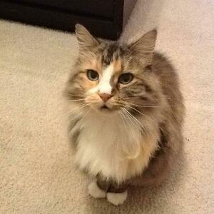 Fundraising Page: Marcela Bravo